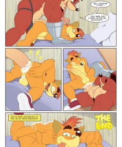 A Day In The Life Of Crash Bandicoot gay furry comic - Gay ...