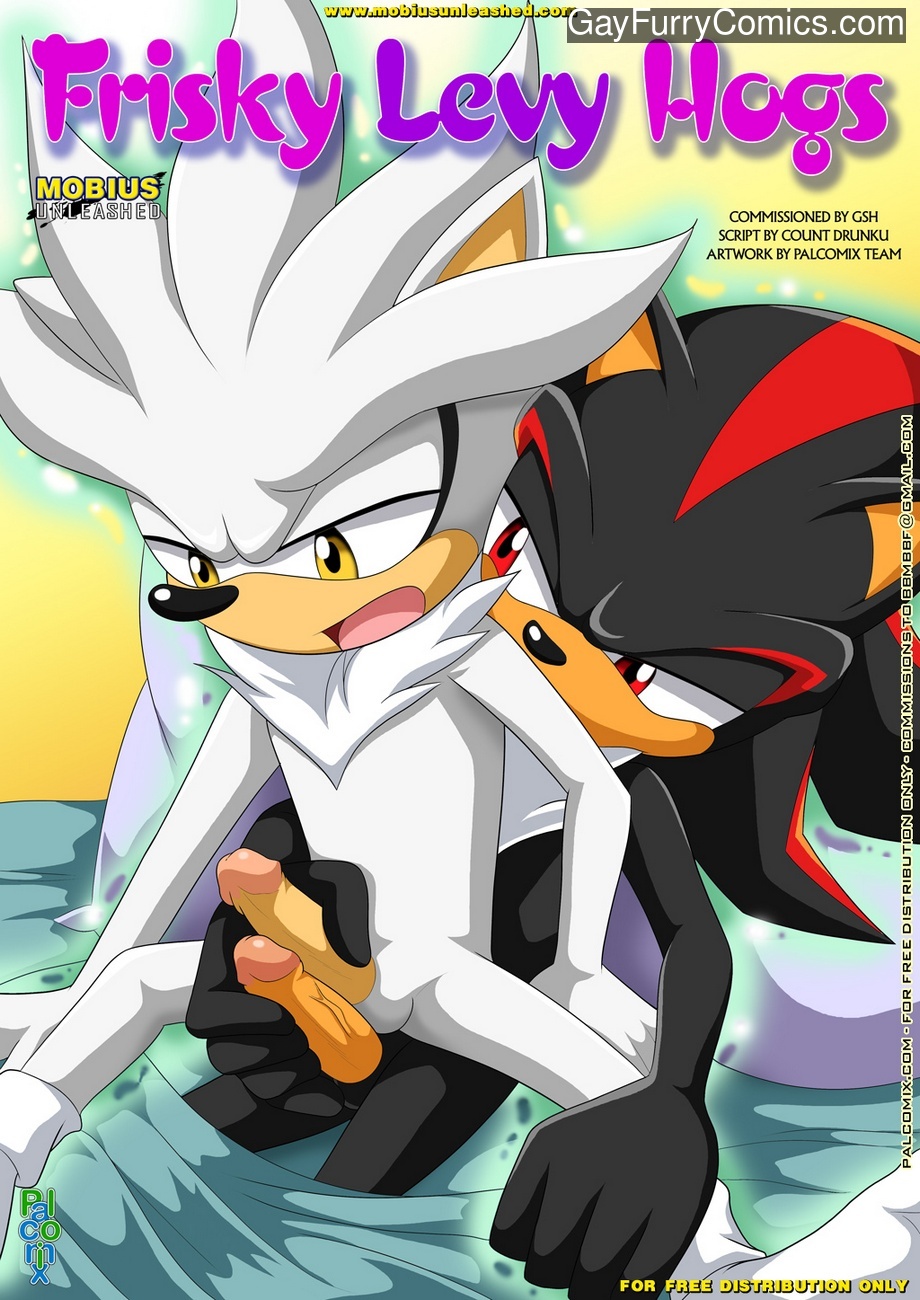 sonic and tails gay porn comic