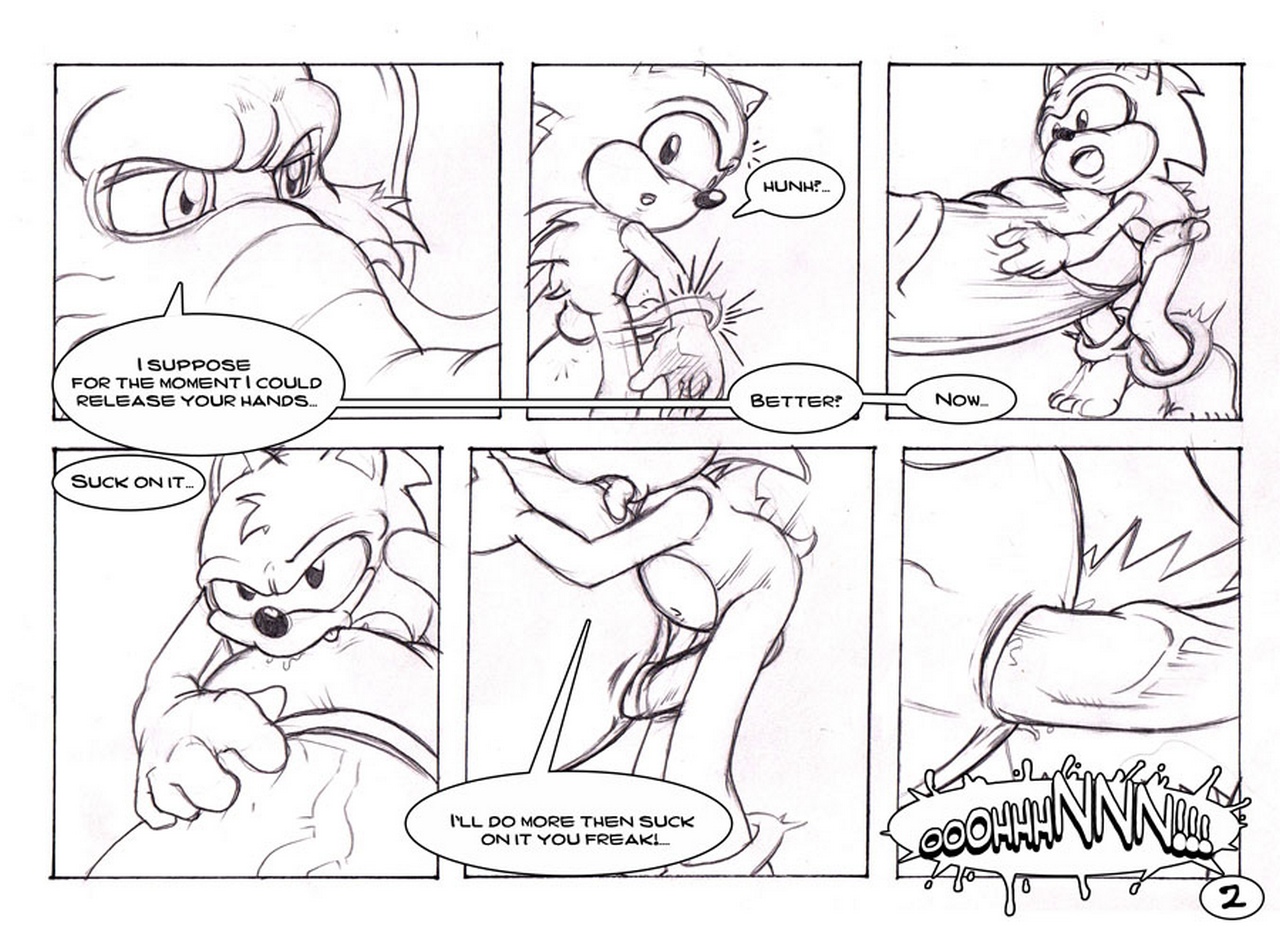 Gay Furry Sonic Porn - Parody: Sonic The Hedgehog Archives - Gay Furry Comics