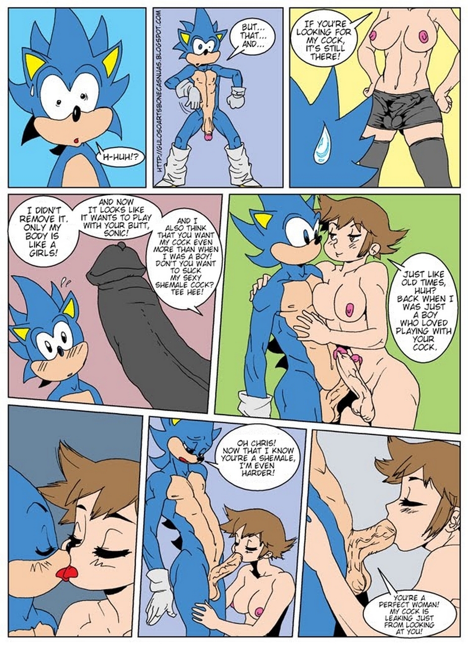 Sonic Gay Porn - Sonic-XXX-003 - Gay Furry Comics