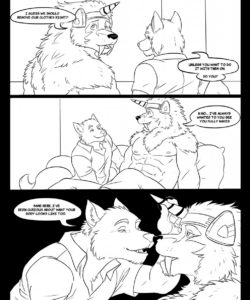 First Time 003 and Gay furries comics