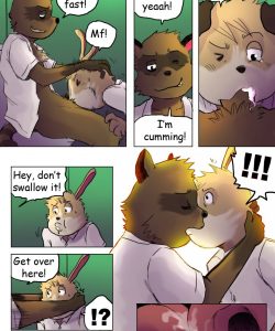 The Story Of The Racoon gay furry comic
