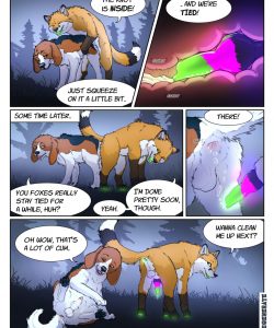A Fox And A Dog 002 and Gay furries comics