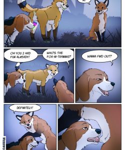 A Fox And A Dog 003 and Gay furries comics