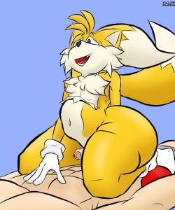 Tails Anal 1 003 and Gay furries comics