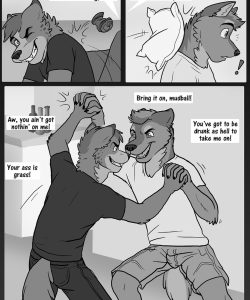 After The Party 003 and Gay furries comics