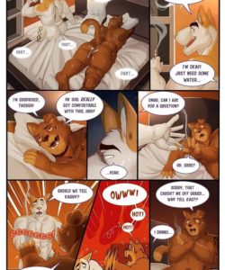 Bodega Cat 029 and Gay furries comics