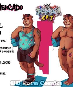 Bodega Cat 046 and Gay furries comics
