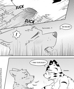 Bond Of Brothers 1 017 and Gay furries comics