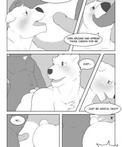 From The Start 006 and Gay furries comics
