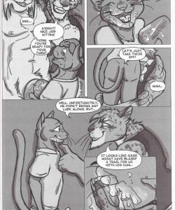 HickDonalds 010 and Gay furries comics