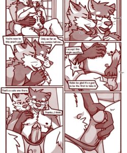 Inari 004 and Gay furries comics