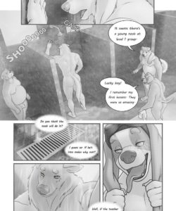 Lush Puppies – PhanPhan Phantasies 1 – The Pool Experience gay furry comic