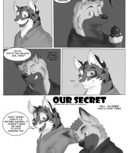 Our Secret 002 and Gay furries comics
