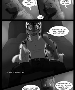 Our Secret 009 and Gay furries comics