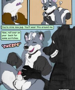 Playing Puppy 005 and Gay furries comics