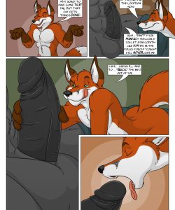 Role Play 006 and Gay furries comics