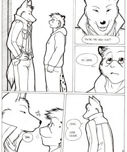 Rough Riders 004 and Gay furries comics