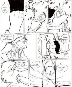 Rough Riders 013 and Gay furries comics