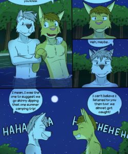 Roughin' It 048 and Gay furries comics
