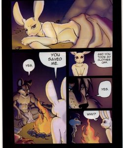 Royal Tail - Chance Beginnings 011 and Gay furries comics