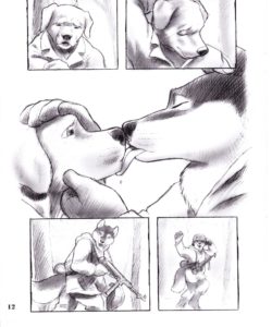 Tails From The Front 013 and Gay furries comics
