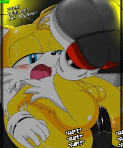 Tails' Secret Hobby 018 and Gay furries comics