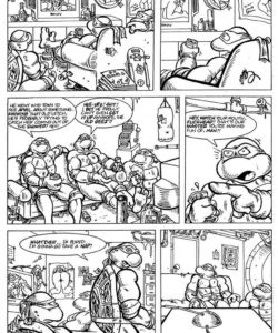 Teenage Mutant Ninja Turtles 002 and Gay furries comics