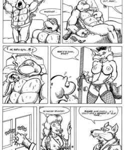 Teenage Mutant Ninja Turtles 003 and Gay furries comics