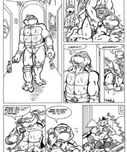 Teenage Mutant Ninja Turtles 005 and Gay furries comics