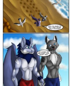 The Hidden Beach 002 and Gay furries comics
