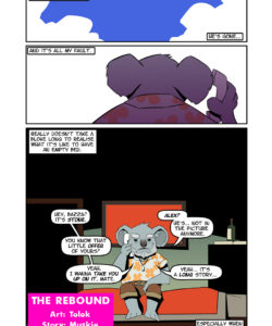 The Rebound 001 and Gay furries comics