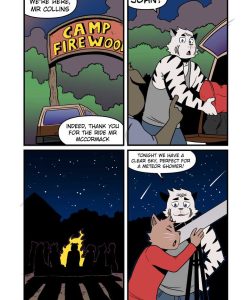 A Campfire Tail 006 and Gay furries comics