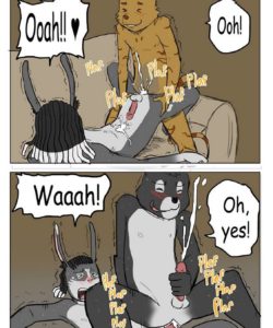 A Night In 004 and Gay furries comics