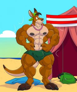 Beach Kangaroo Sequence 008 and Gay furries comics