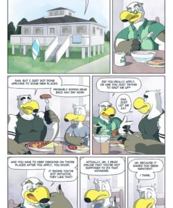 Brogulls 008 and Gay furries comics
