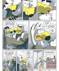 Brogulls 011 and Gay furries comics