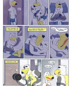 Brogulls 032 and Gay furries comics