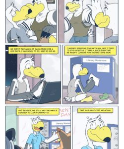 Brogulls 062 and Gay furries comics