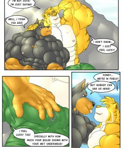 The Big Life 11 - I Couldn't Ask For More 017 and Gay furries comics