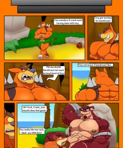 Crash N Sane Threesome 004 and Gay furries comics