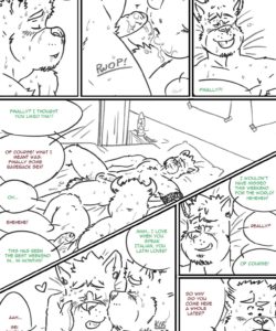 Choices - Summer 003 and Gay furries comics