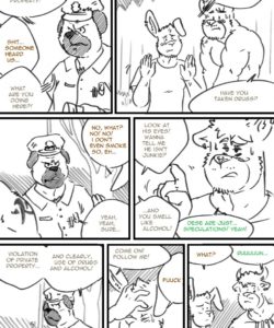 Choices - Summer 078 and Gay furries comics