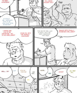 Choices - Summer 324 and Gay furries comics