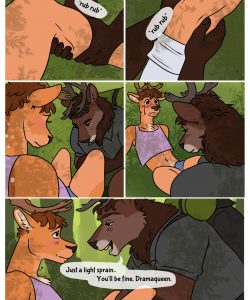 Forest Romp 009 and Gay furries comics