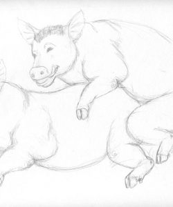 Pig Transformation 042 and Gay furries comics