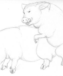 Pig Transformation 044 and Gay furries comics