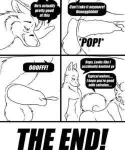Following The Rules 005 and Gay furries comics