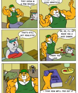 Hansel And Gerwulf 009 and Gay furries comics