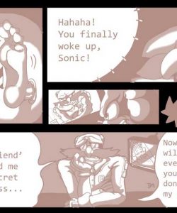 Magic Ring Sonic 004 and Gay furries comics